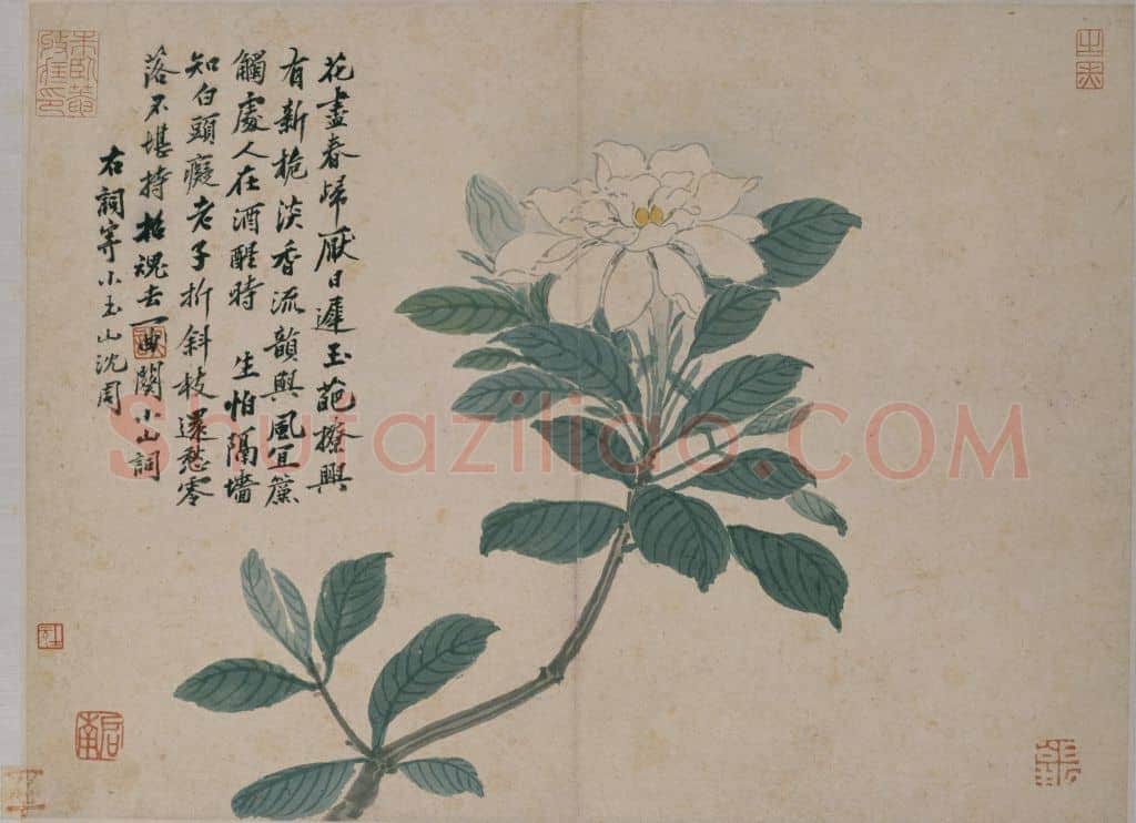 沈周卧游图册 | 故宫绘画藏品