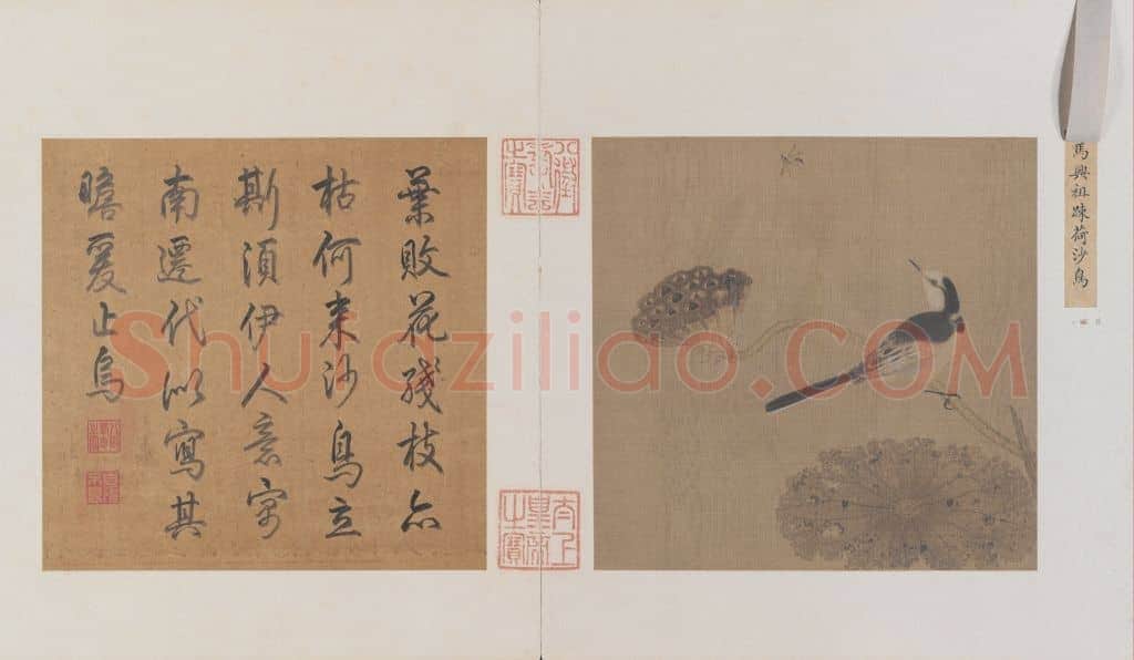 疏荷沙鸟图页 | 故宫绘画藏品