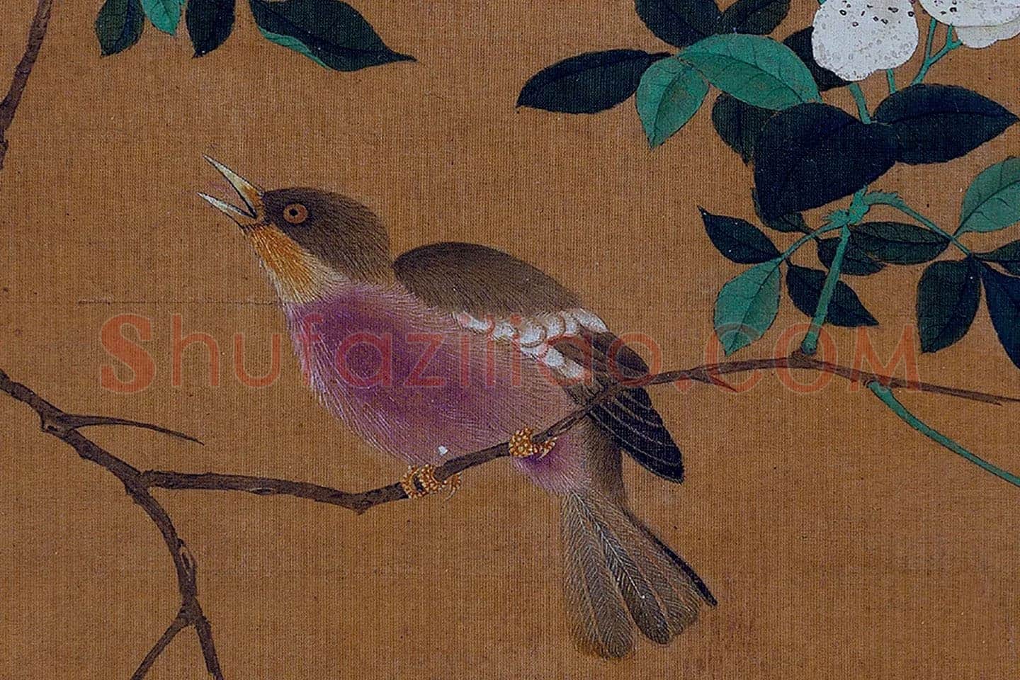 黄筌花鸟画册局部 (5)