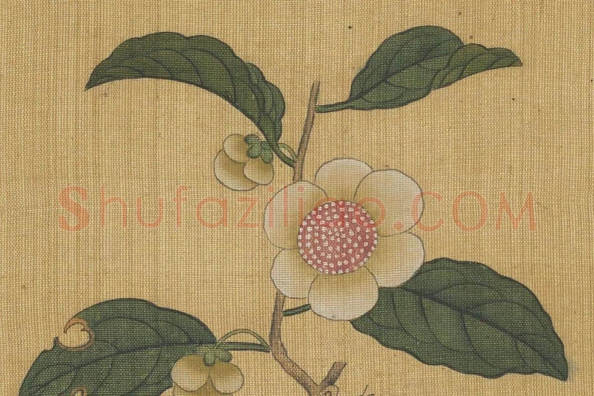陈洪绶工笔花卉《山茶花》局部 (1)