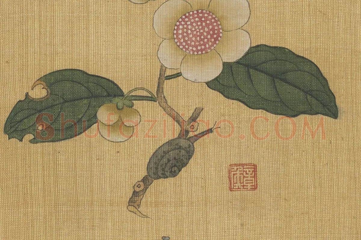 陈洪绶工笔花卉《山茶花》局部 (2)