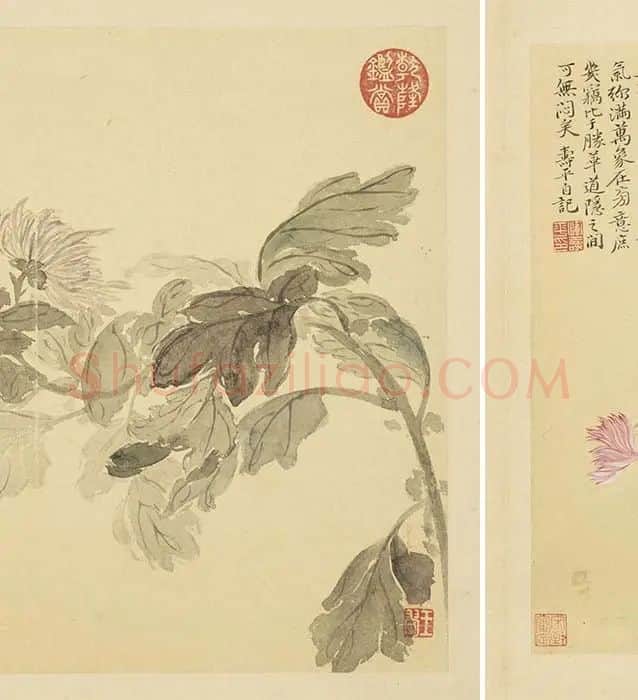恽寿平摹古花卉册_03