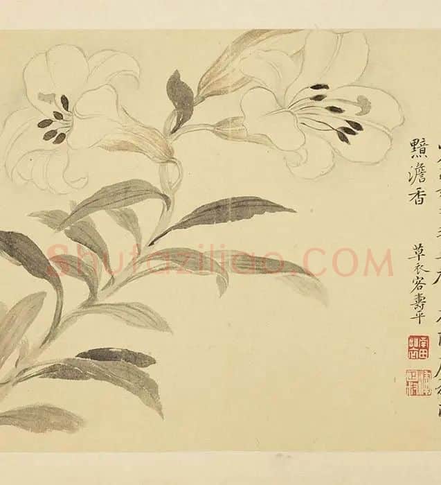 恽寿平摹古花卉册_08