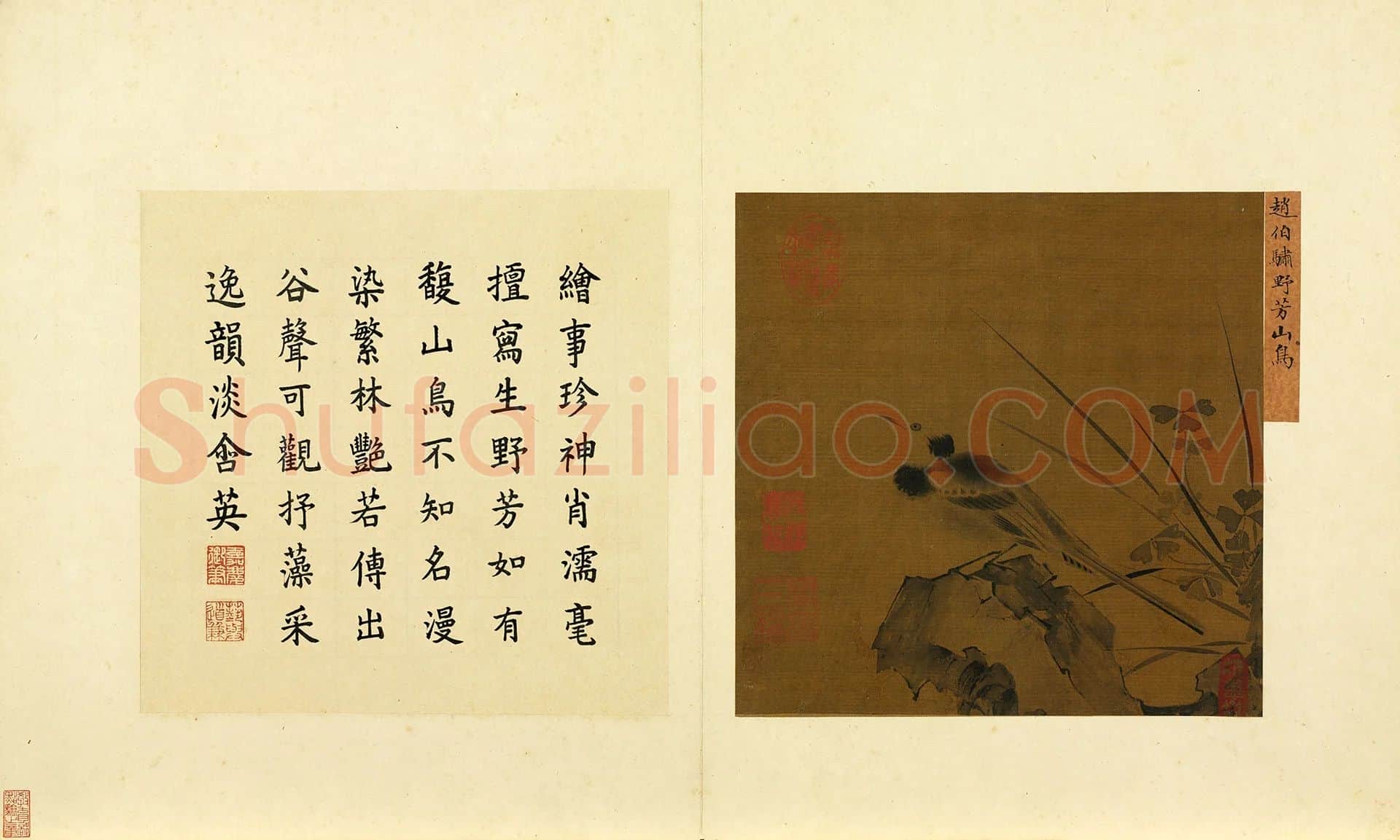 赵伯骕花鸟画《野芳山鸟》