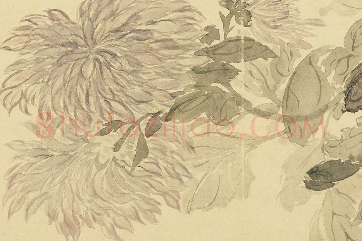恽寿平摹古花卉册局部 (10)