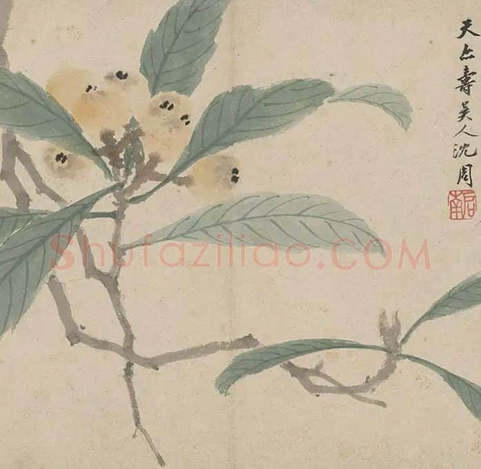 沈周《石田卧游册》_14