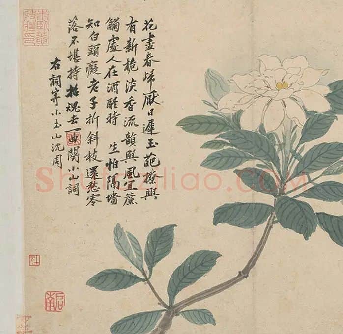 沈周《石田卧游册》_18