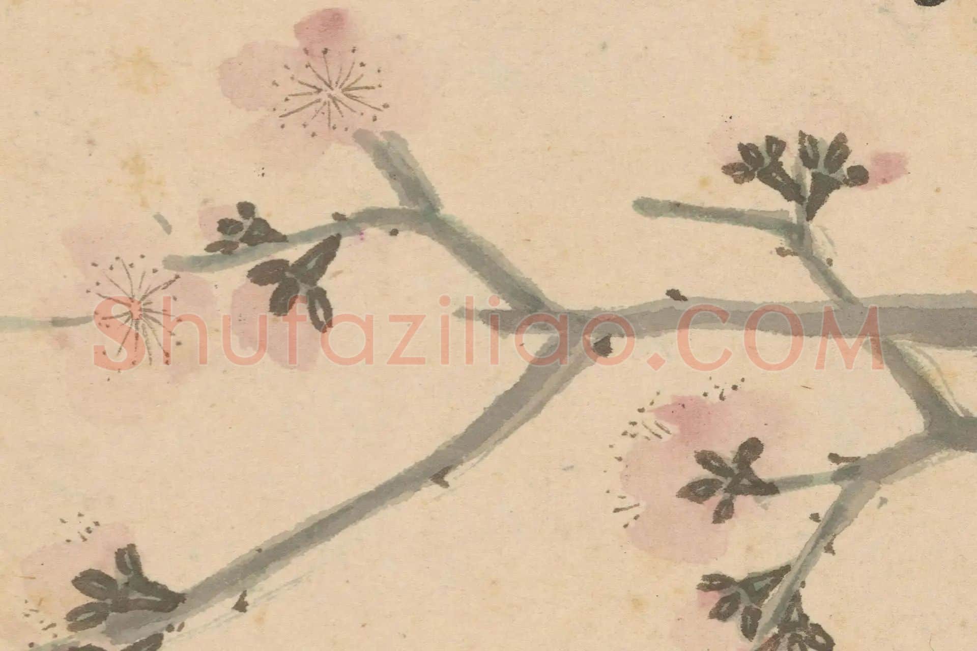 2-沈周《石田卧游册·杏花图》高清大图局部