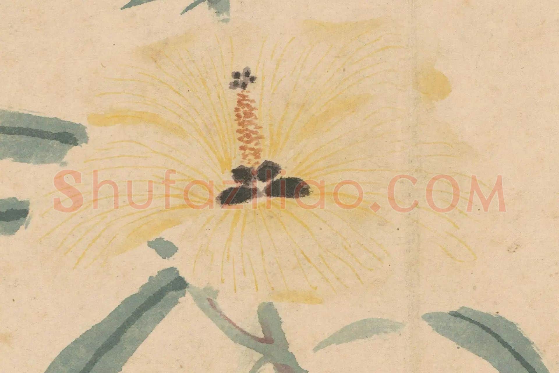 3-沈周《石田卧游册·秋葵图》高清大图局部