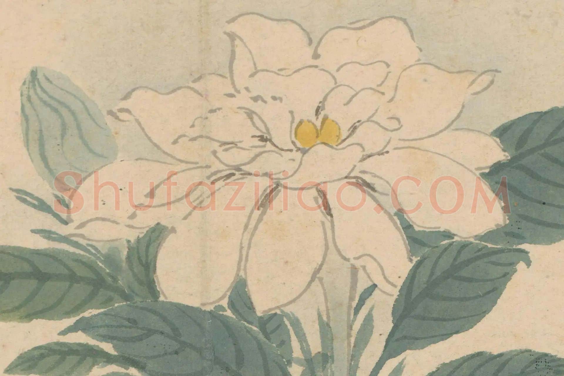 6-沈周《石田卧游册·栀子花》高清大图局部
