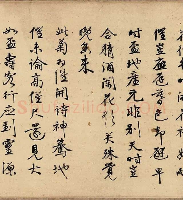 沈周山水《盆菊幽赏图》卷_03