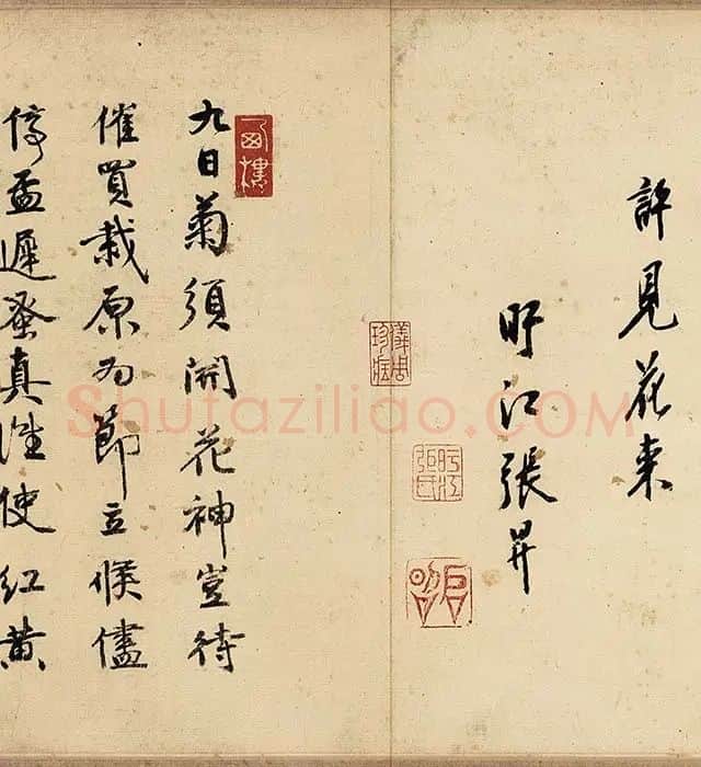 沈周山水《盆菊幽赏图》卷_05