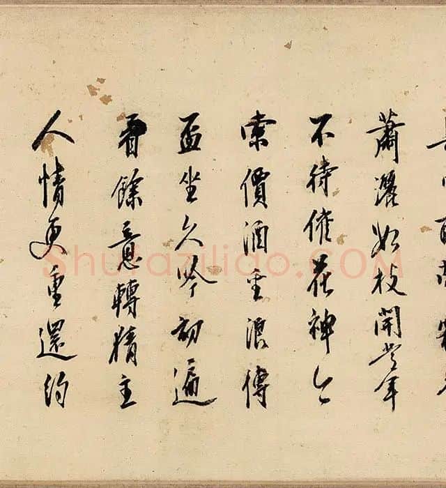 沈周山水《盆菊幽赏图》卷_07