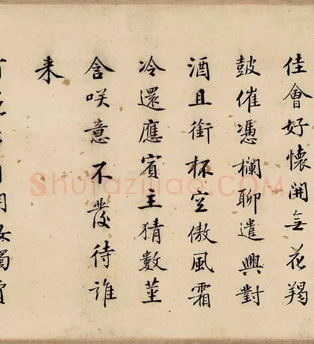沈周山水《盆菊幽赏图》卷_10