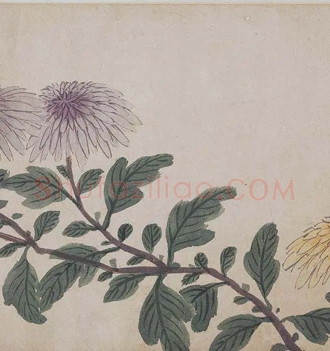 沈周《四季花卉图》_08