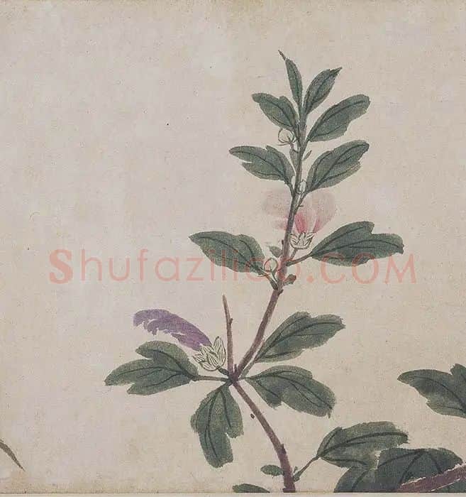 沈周《四季花卉图》_15