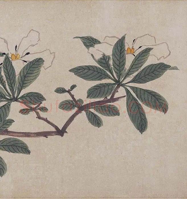 沈周《四季花卉图》_20
