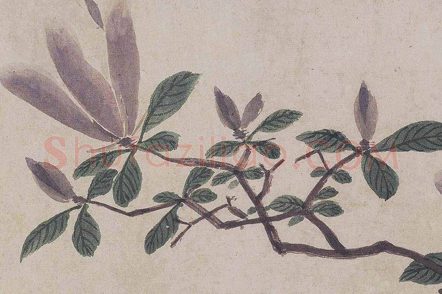 沈周《四季花卉图》局部 (4)