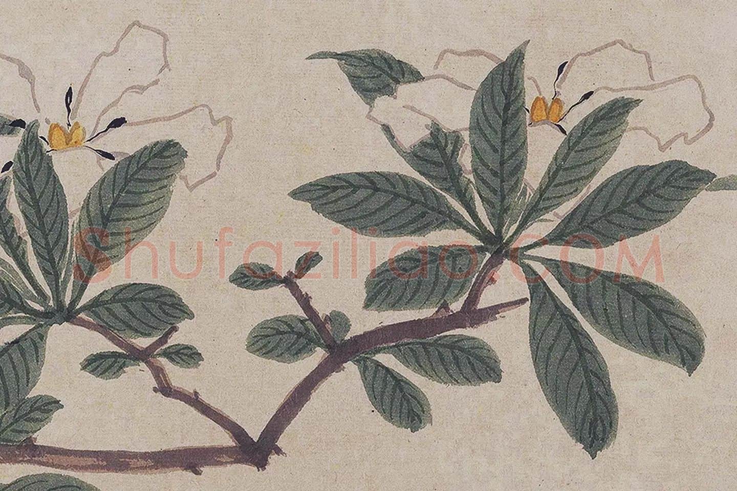 沈周《四季花卉图》局部 (5)