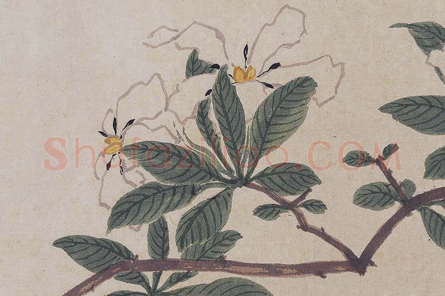 沈周《四季花卉图》局部 (6)