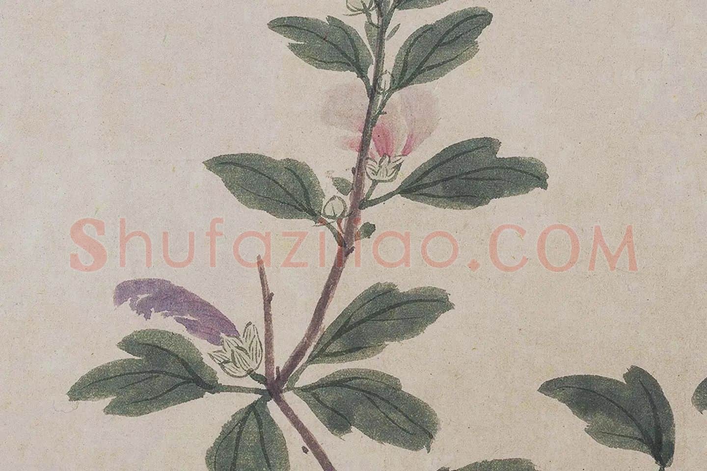 沈周《四季花卉图》局部 (9)