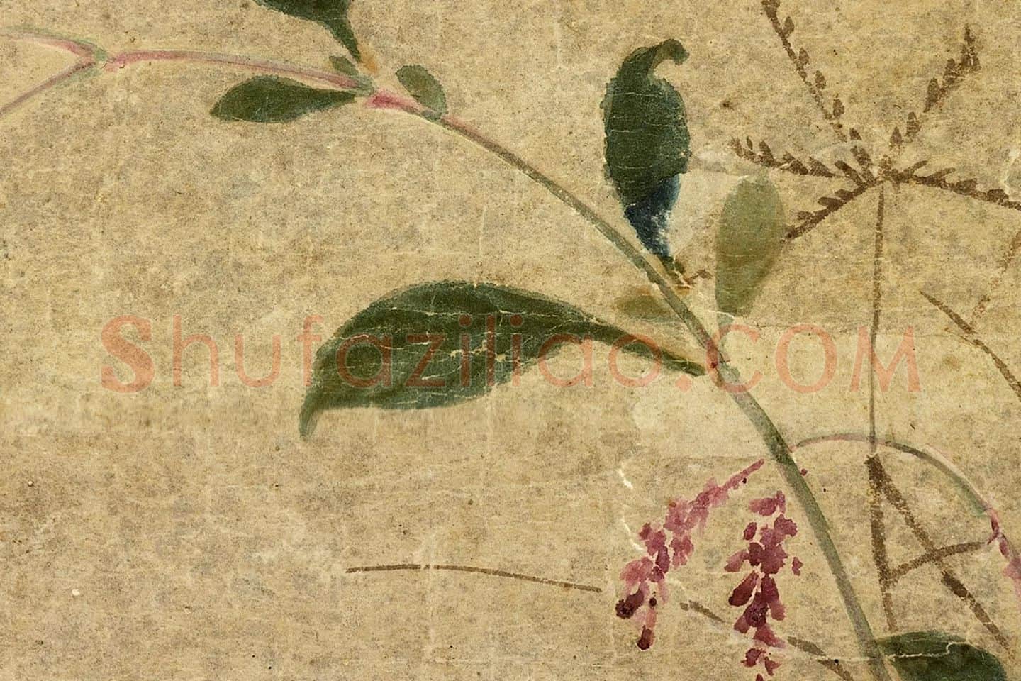 黄居寀《蛤子蝴蝶图》局部 (4)