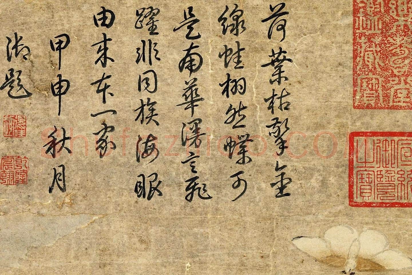 黄居寀《蛤子蝴蝶图》局部 (5)