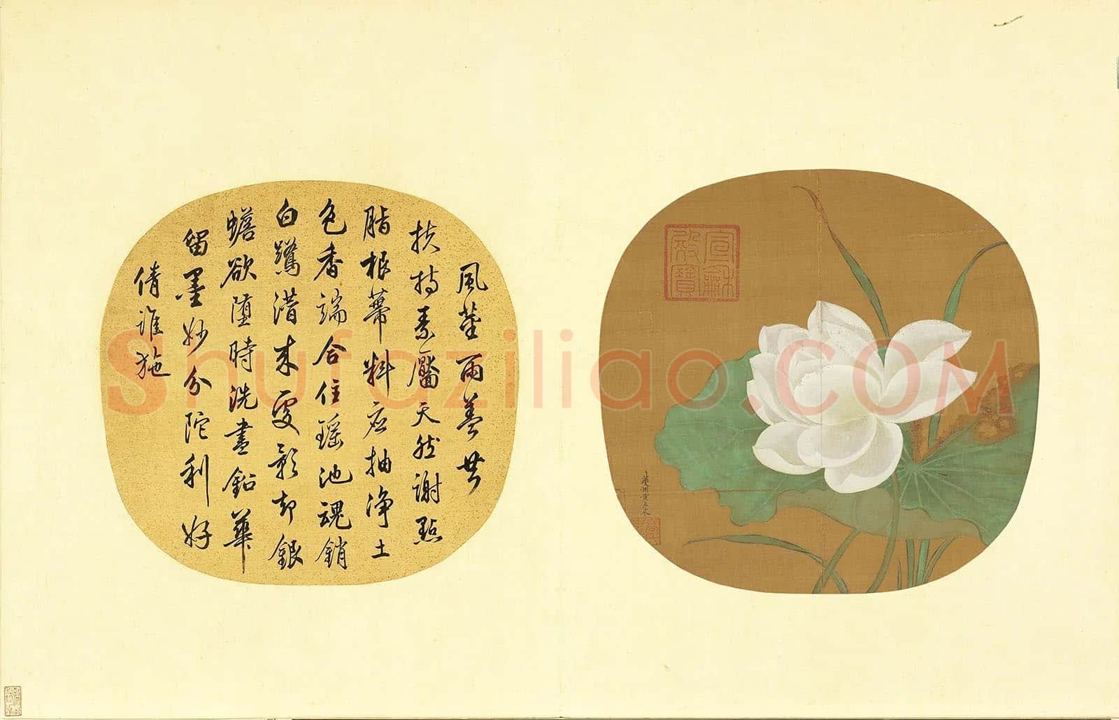 黄居寀花卉画《白莲图》