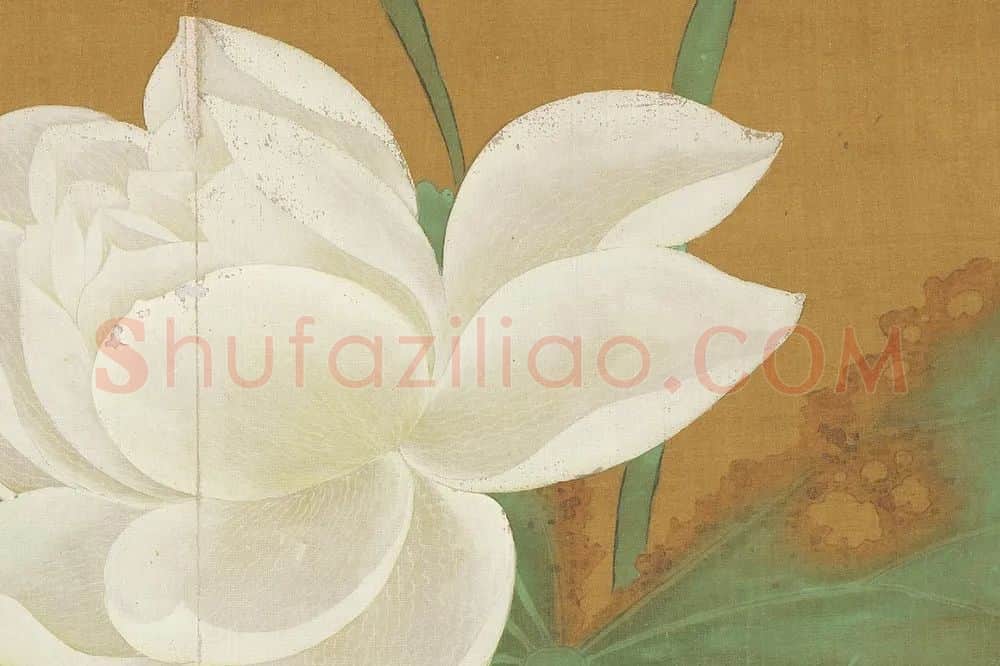 黄居寀《白莲图》局部 (2)