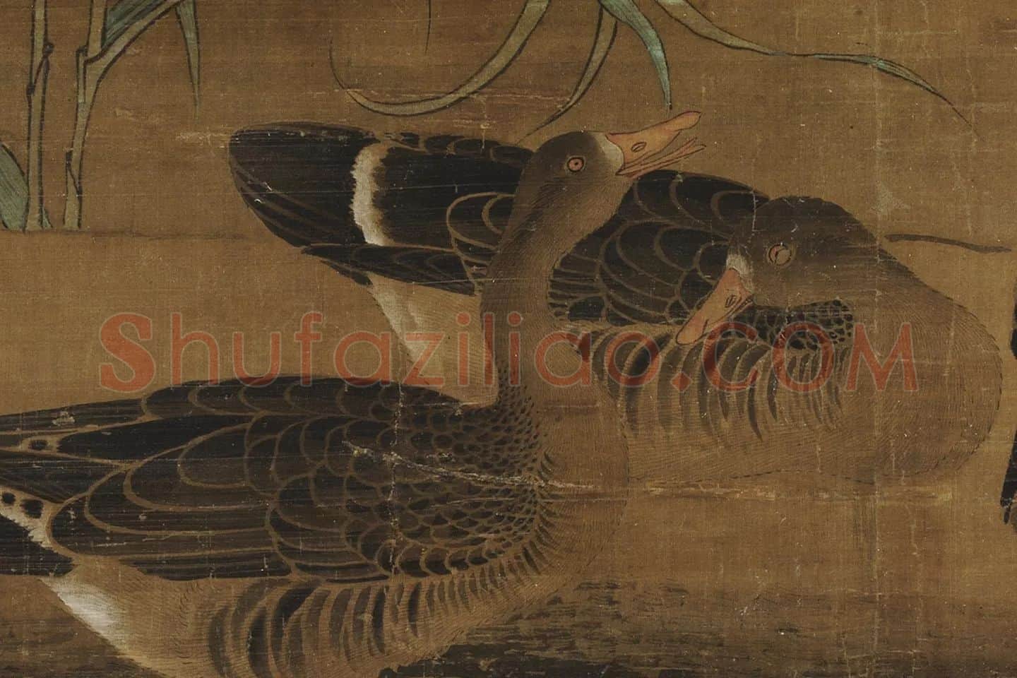 黄居寀《芦雁图》局部 (1)