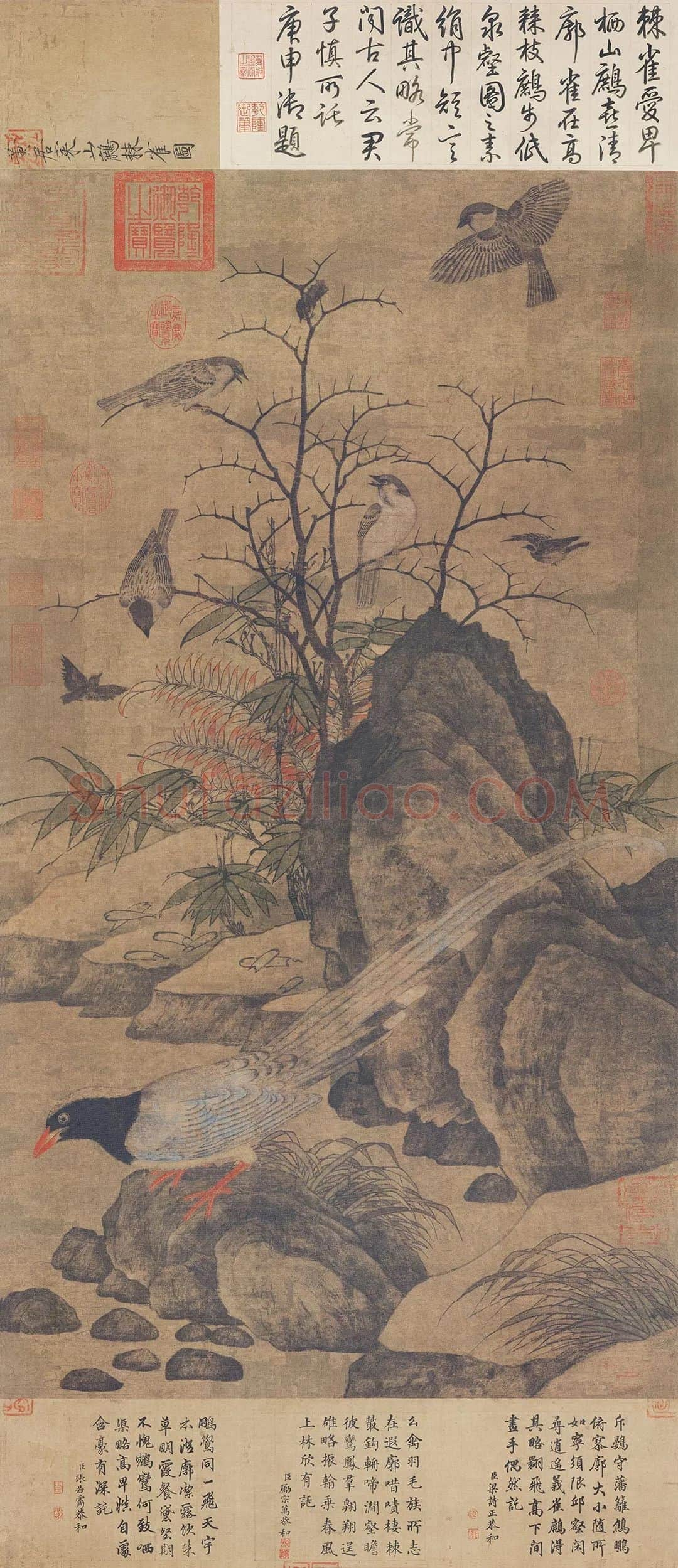 黄居寀《山鹧棘雀图》