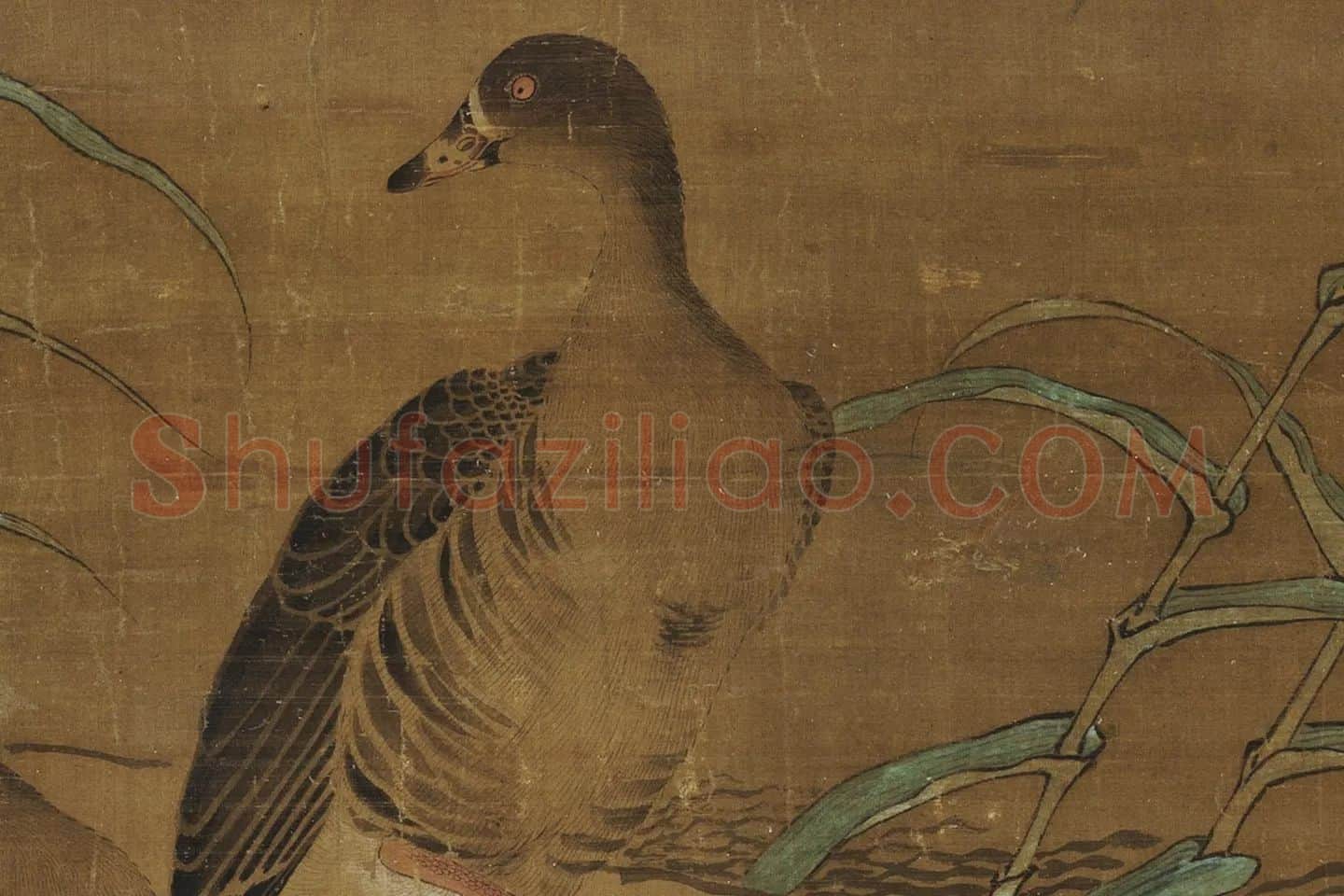 黄居寀《芦雁图》局部 (2)