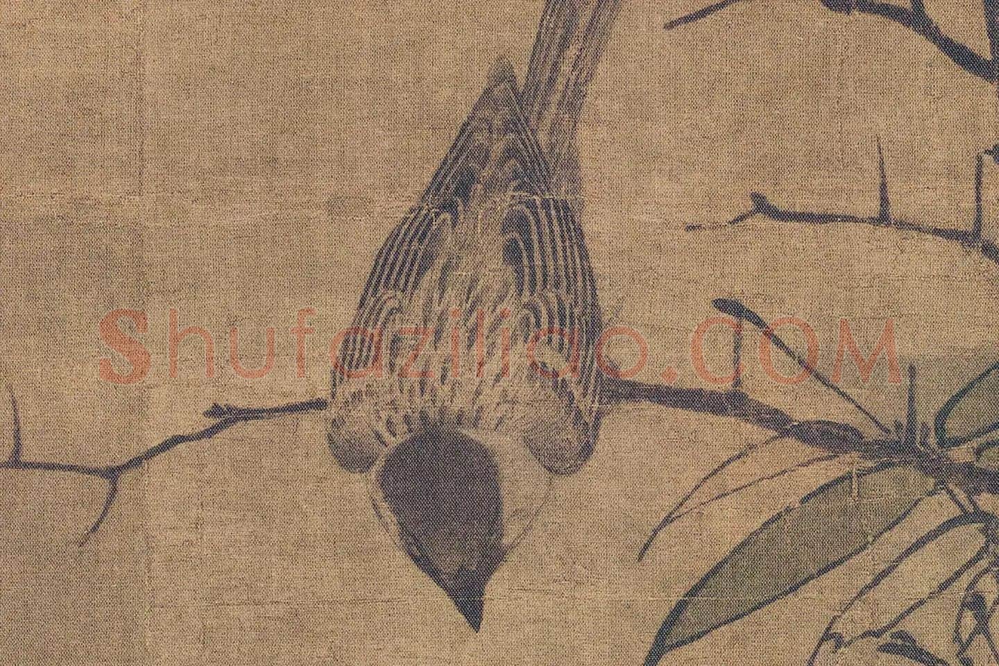 黄居寀《山鹧棘雀图》高清大图局部 (3)