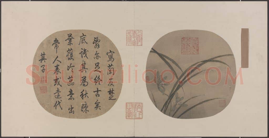 秋兰绽蕊图页 | 故宫绘画藏品
