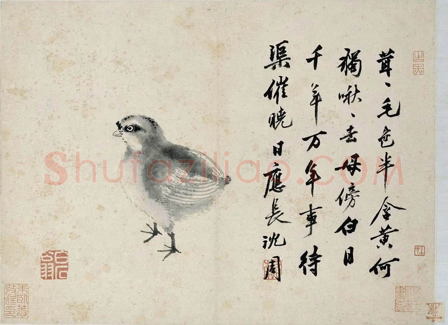 沈周水墨画《雏鸡图》