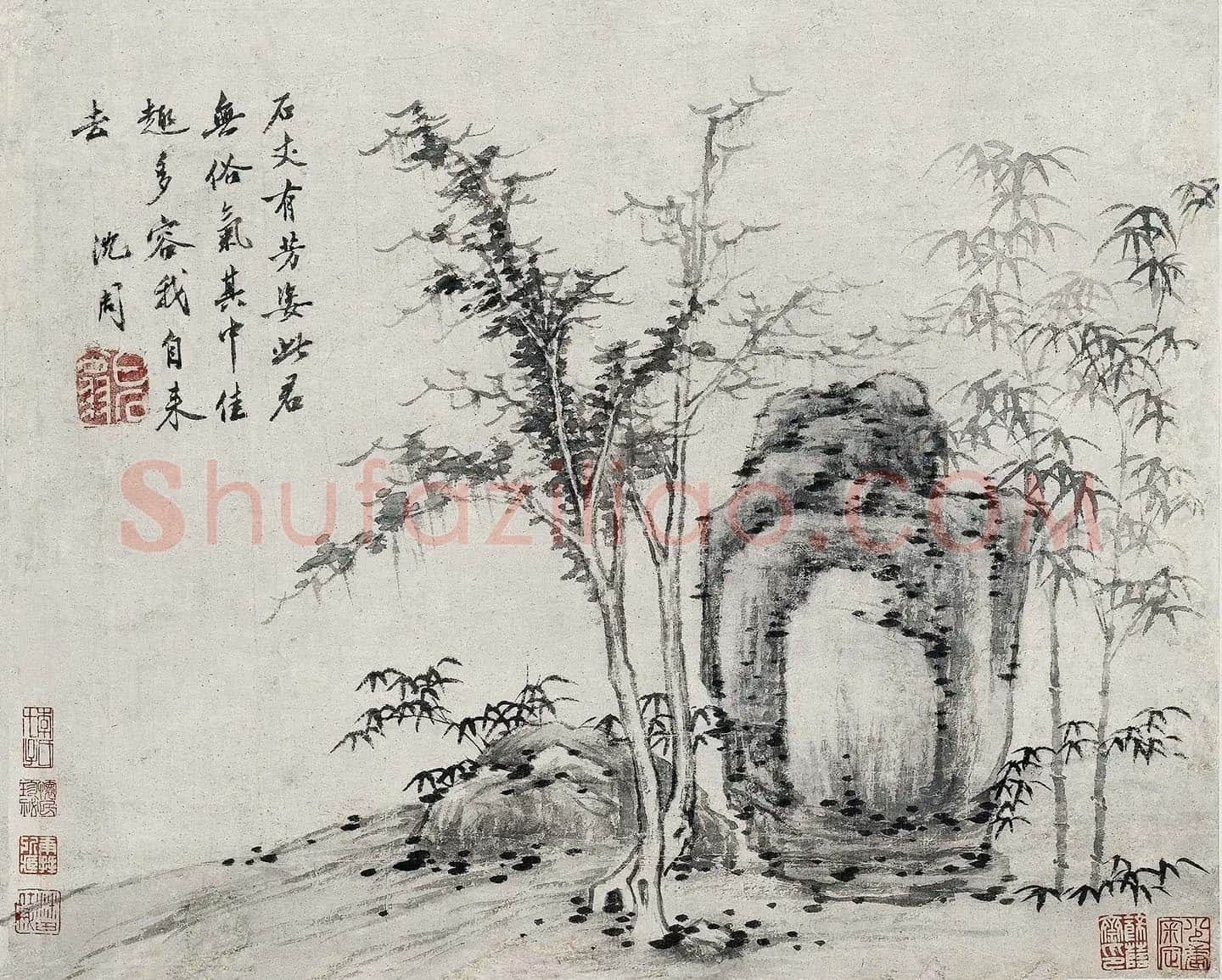 沈周水墨画《石竹图》页