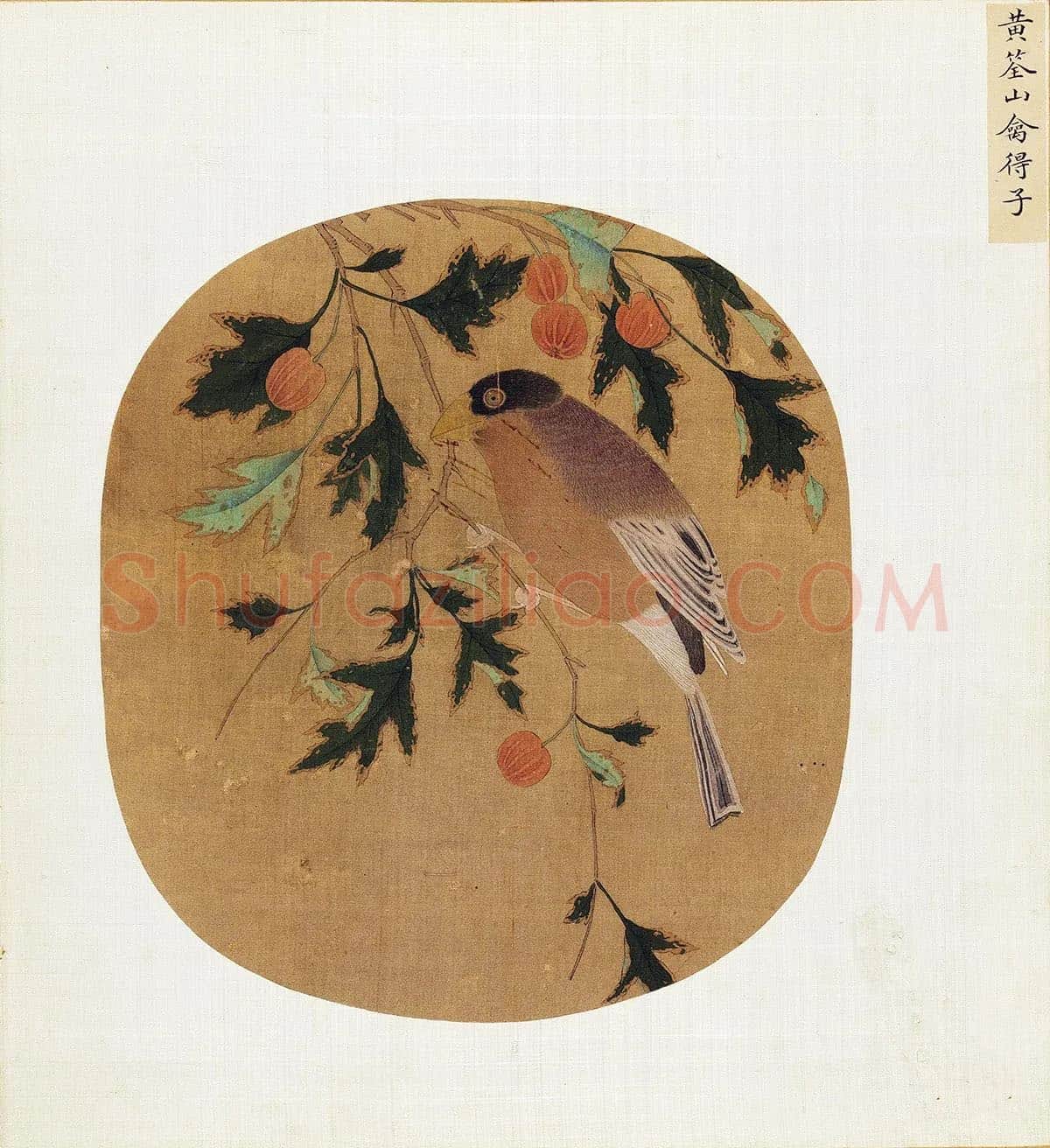 黄筌工笔花鸟《山禽得子图》团扇页