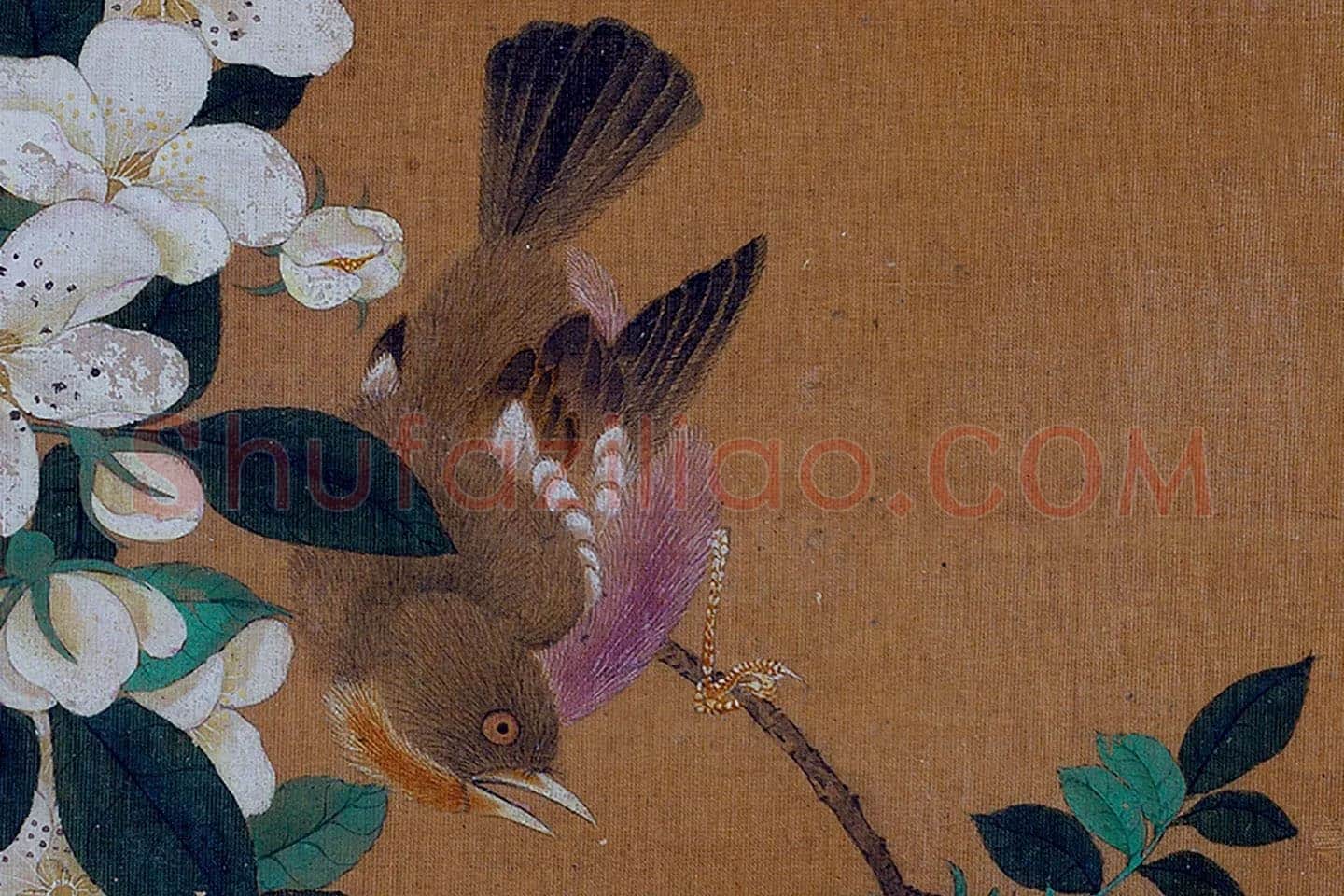 黄筌工笔花鸟画《花卉翎毛》局部 (1)