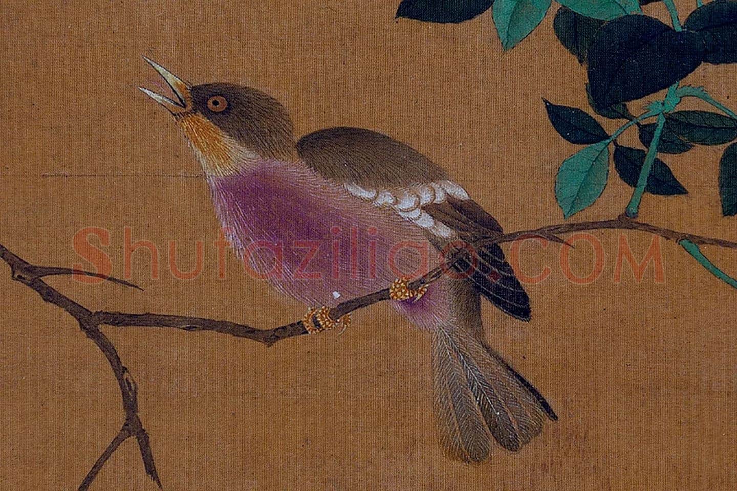 黄筌工笔花鸟画《花卉翎毛》局部 (2)