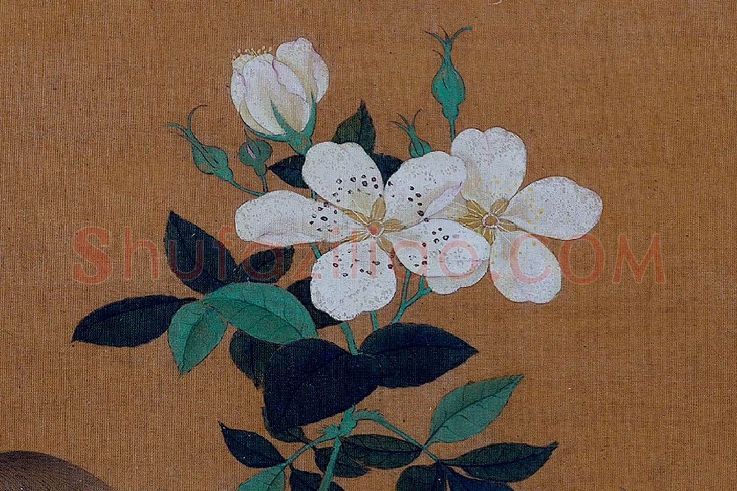 黄筌工笔花鸟画《花卉翎毛》局部 (3)