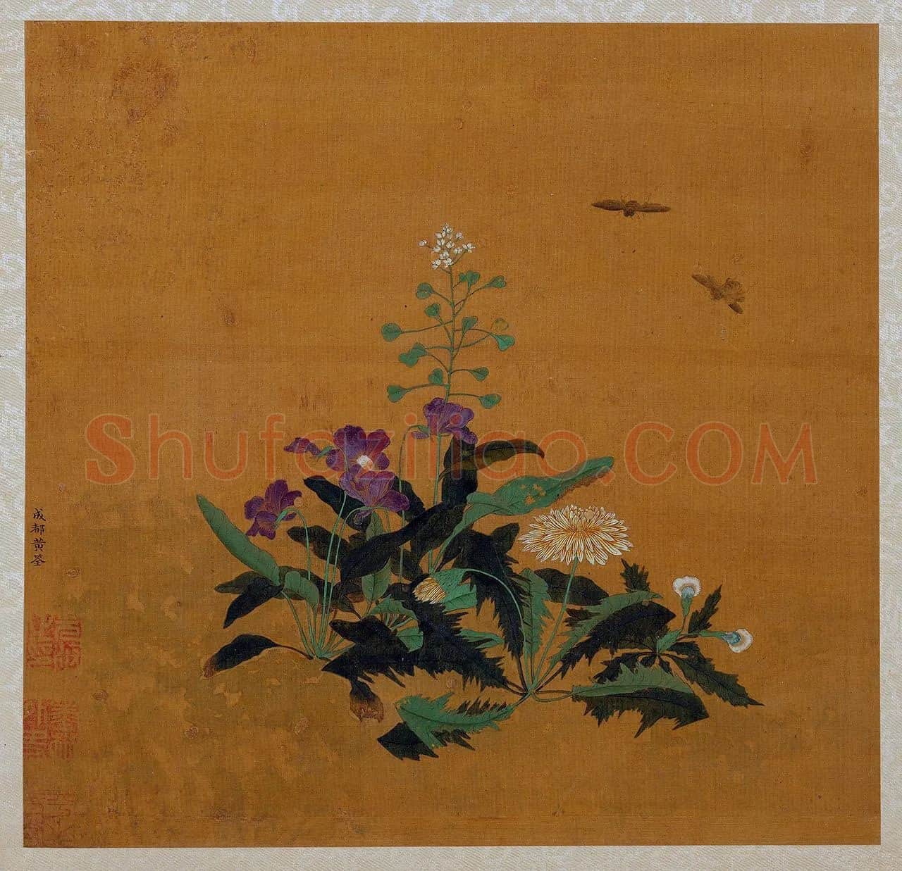 黄筌工笔花卉《荠菜蒲公英》