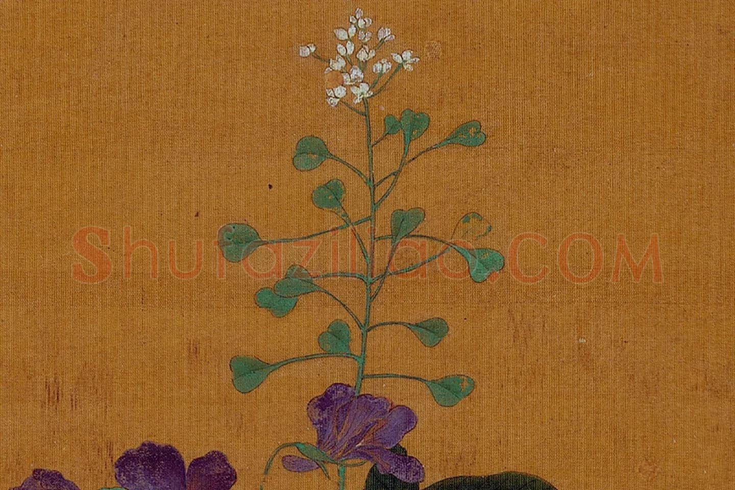 黄筌工笔花卉《荠菜蒲公英》局部 (2)