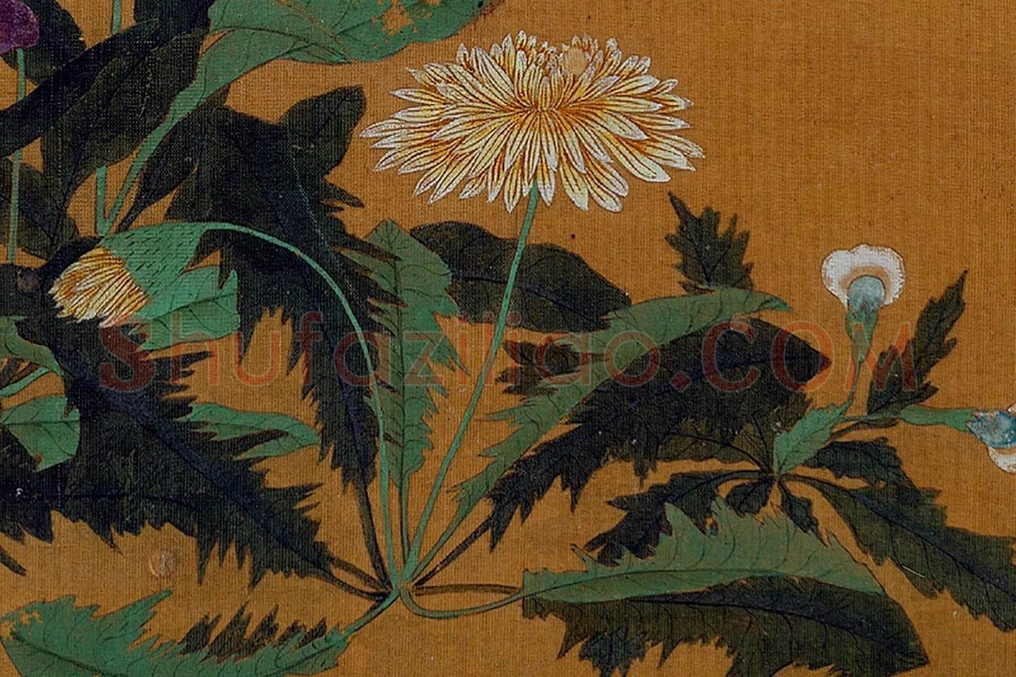 黄筌工笔花卉《荠菜蒲公英》局部 (4)
