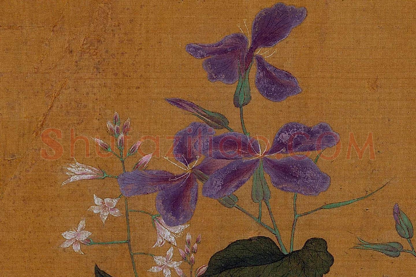 黄筌工笔花卉《花卉草虫》局部 (2)