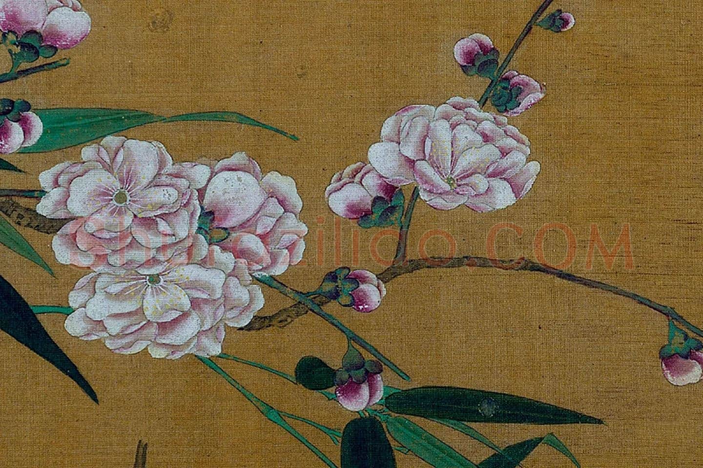 黄筌工笔花鸟画《碧桃翠鸟》局部 (2)