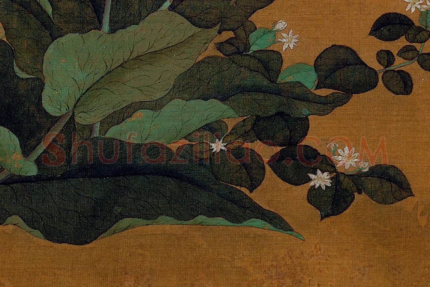 黄筌工笔花卉《花卉草虫》局部 (4)