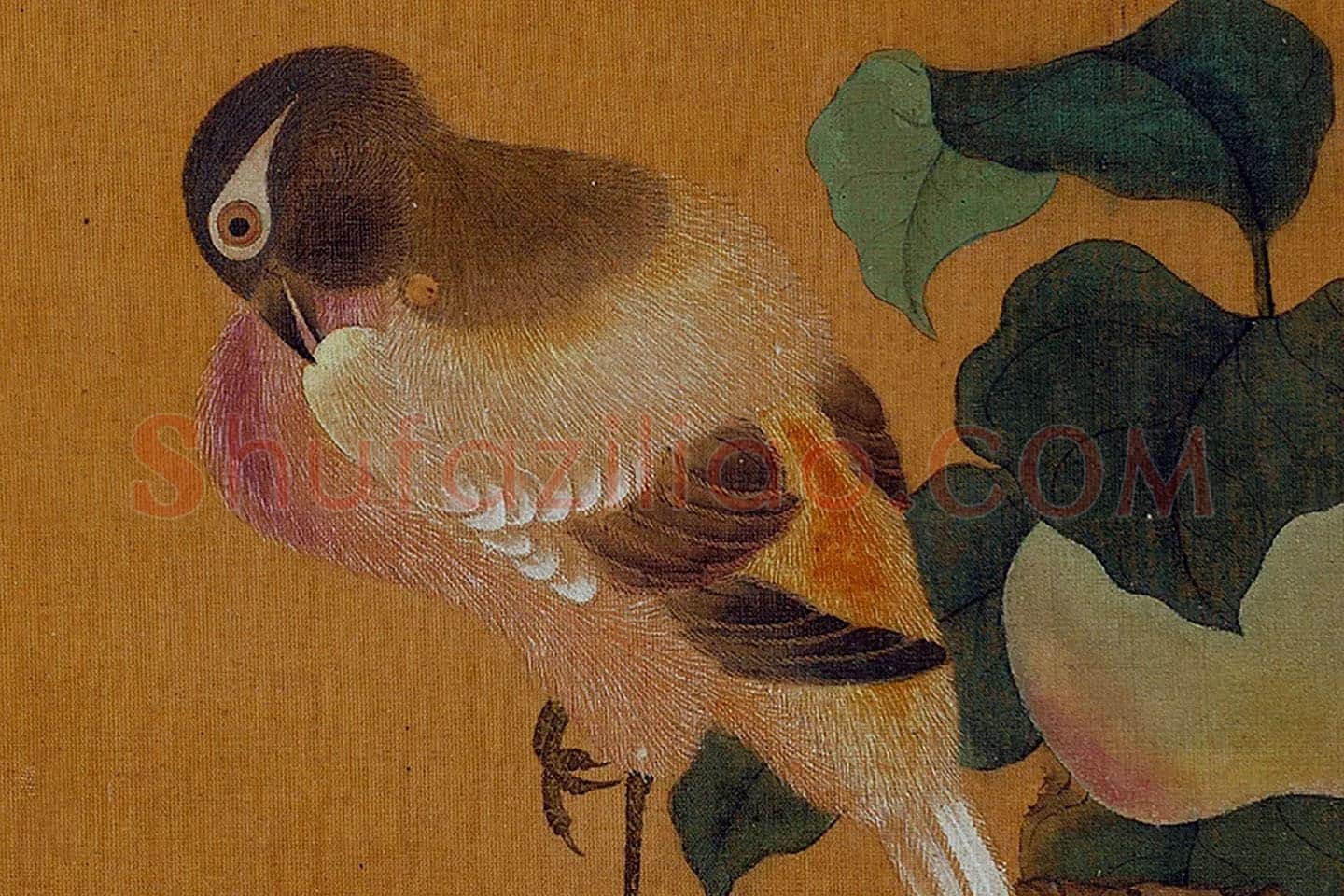 黄筌工笔画《蘋婆翎毛》局部 (1)