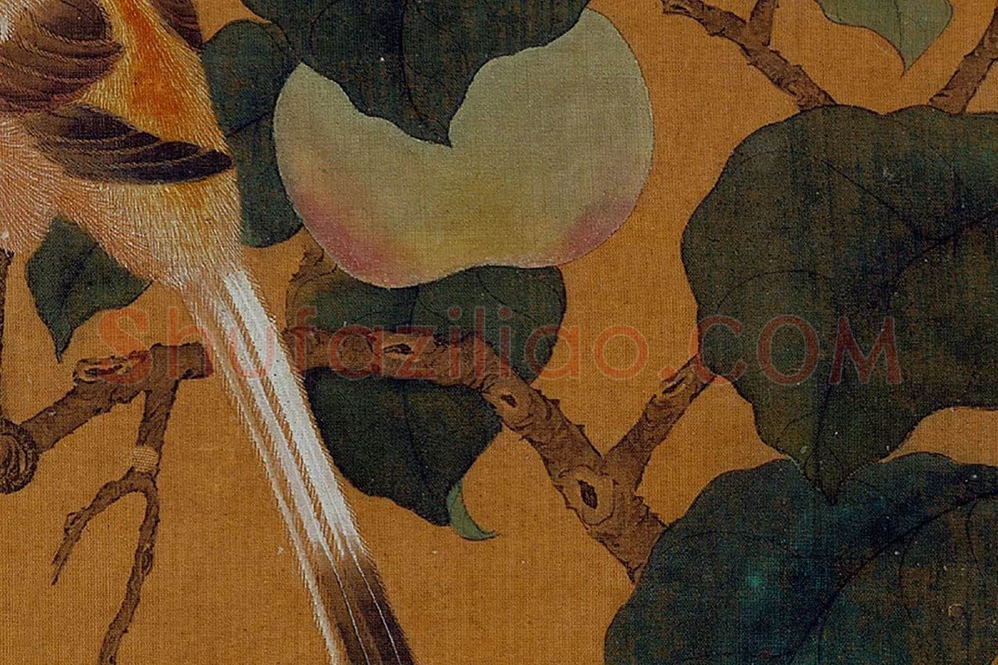 黄筌工笔画《蘋婆翎毛》局部 (2)