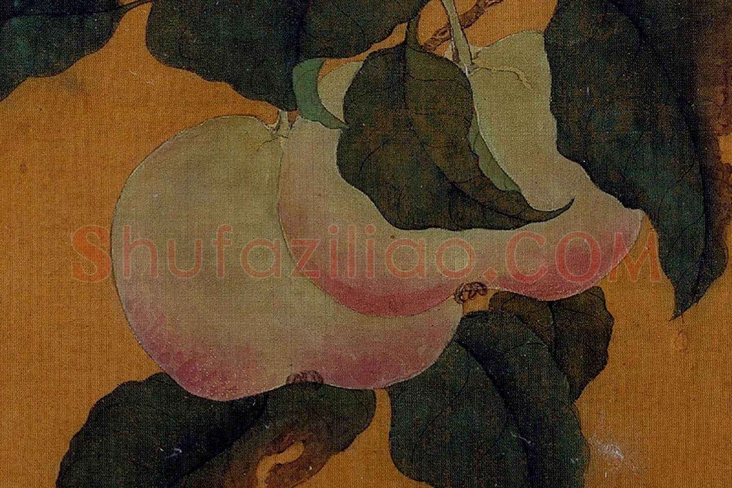 黄筌工笔画《蘋婆翎毛》局部 (3)