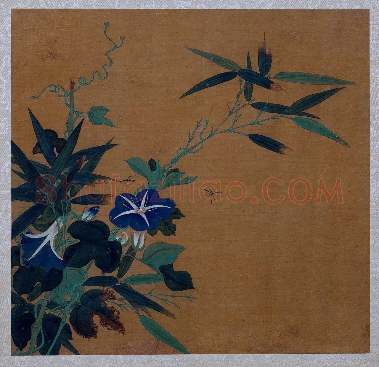 黄筌工笔花卉《牵牛花》页